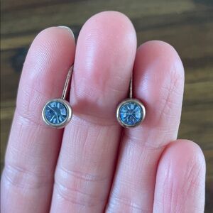 Blue Crystal Drop Earrings - Minimalist Women’s Jewelry